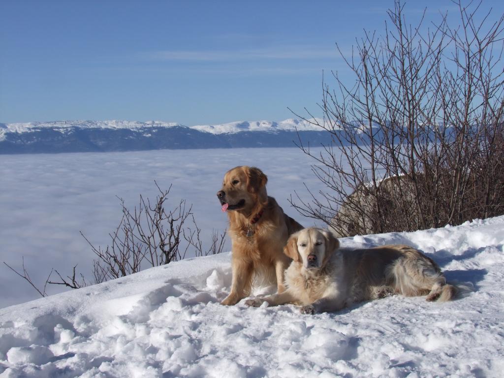 Pour l'image suivante