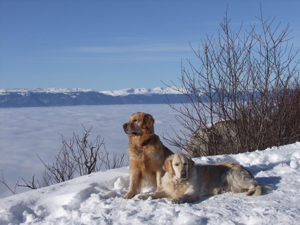 Pour l'image suivante