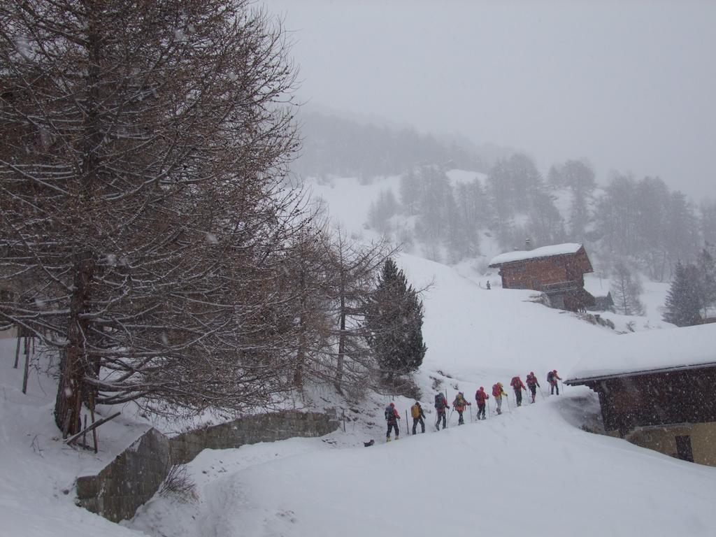 Pour l'image suivante