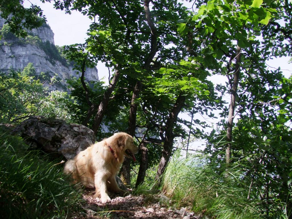 Pour l'image suivante