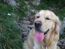 Pour agrandir l'image (1024x768 pixels; 158 KB)