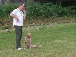 Pour agrandir l'image (800x600 pixels; 133 KB)