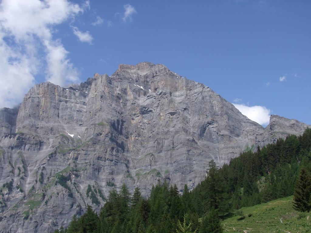 Cliquer pour voir l'image suivante