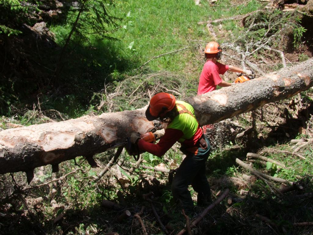 Cliquer pour voir l'image suivante