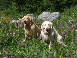 Cliquer pour agrandir l'image (1024x768 pixels; 244 KB)