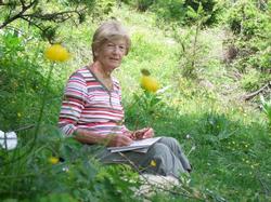 Click to see big picture (1024x768 pixels; 223 KB)