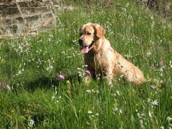 Click to see big picture (1024x768 pixels; 252 KB)