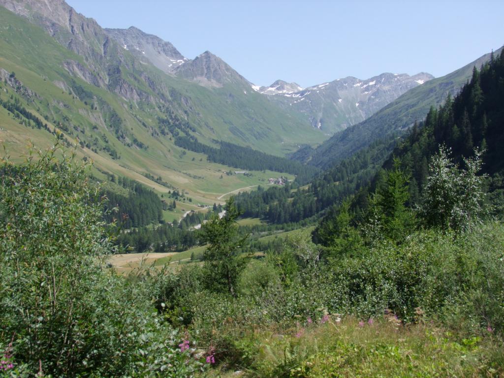 Pour l'image suivante