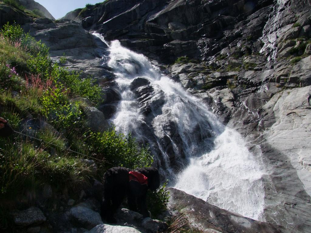 Pour l'image suivante