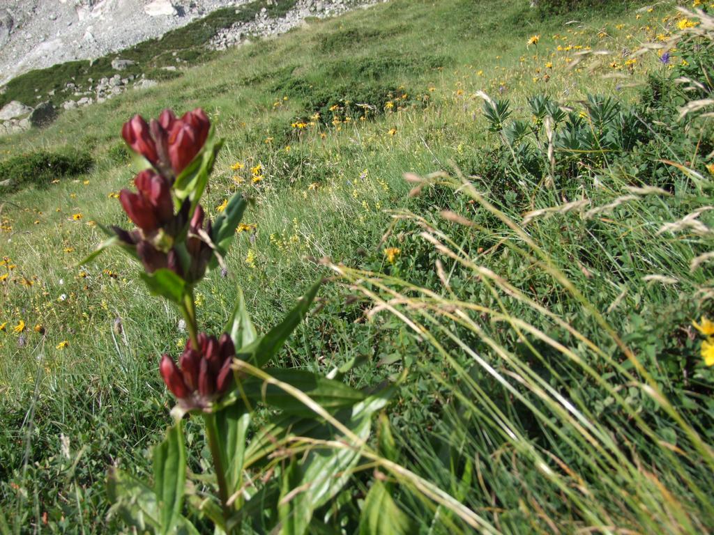 Pour l'image suivante