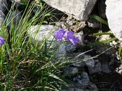 Pour agrandir l'image (1024x768 pixels; 200 KB)