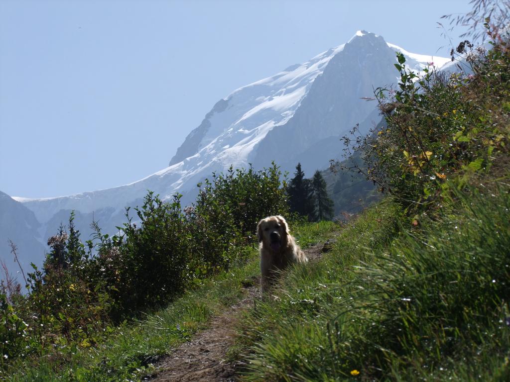 Pour l'image suivante
