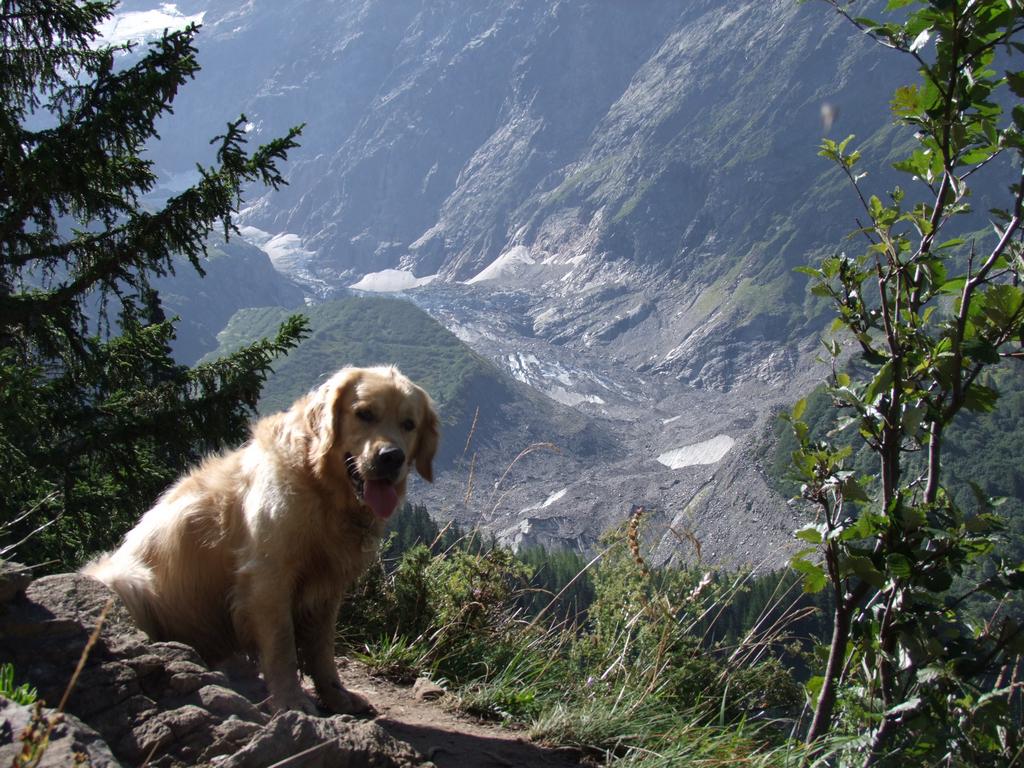 Pour l'image suivante