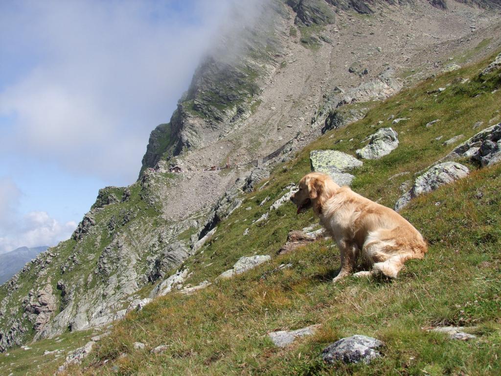 Pour l'image suivante