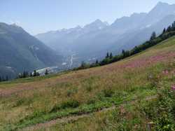 Pour agrandir l'image (1024x768 pixels; 156 KB)