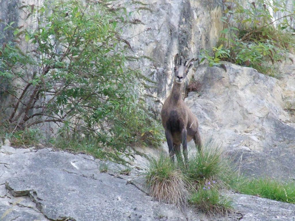 Pour l'image suivante