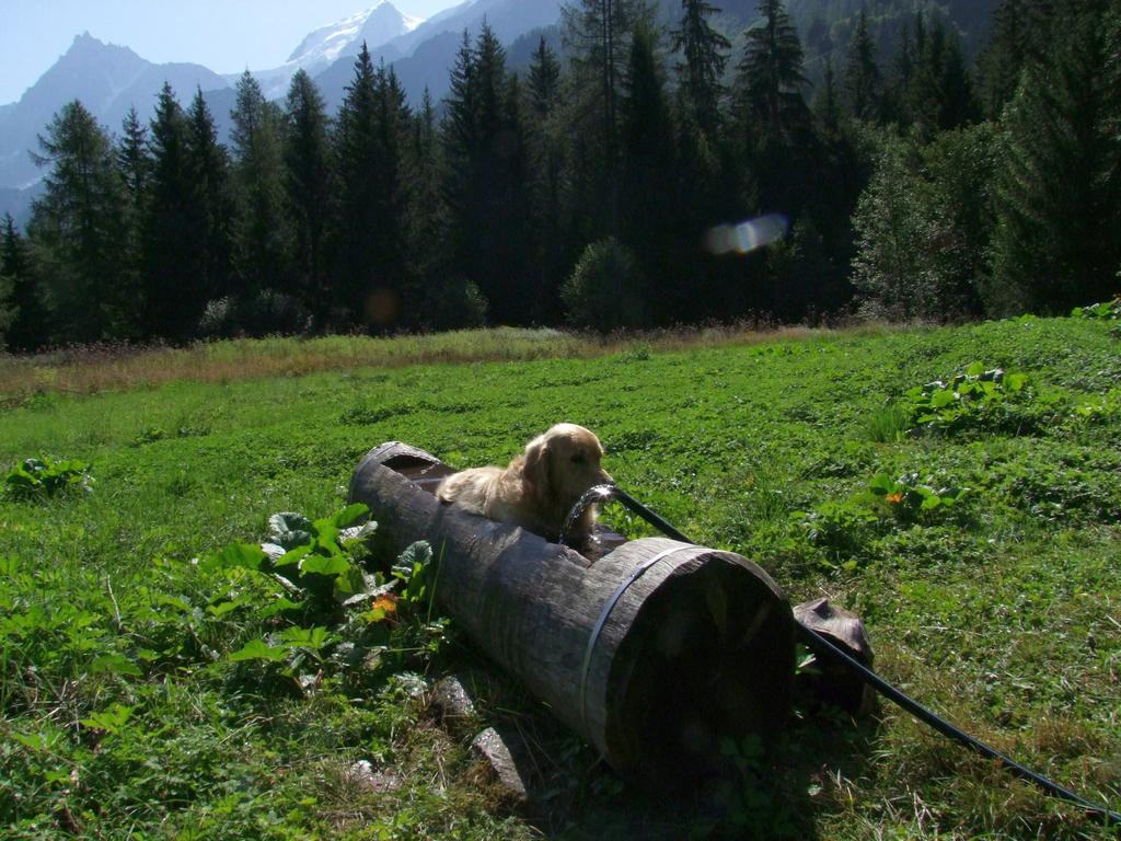 Pour l'image suivante