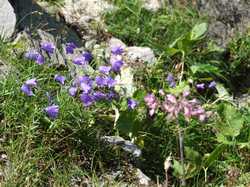 Pour agrandir l'image (1024x768 pixels; 226 KB)