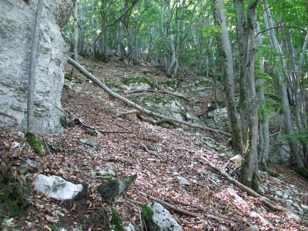 Pour l'image suivante