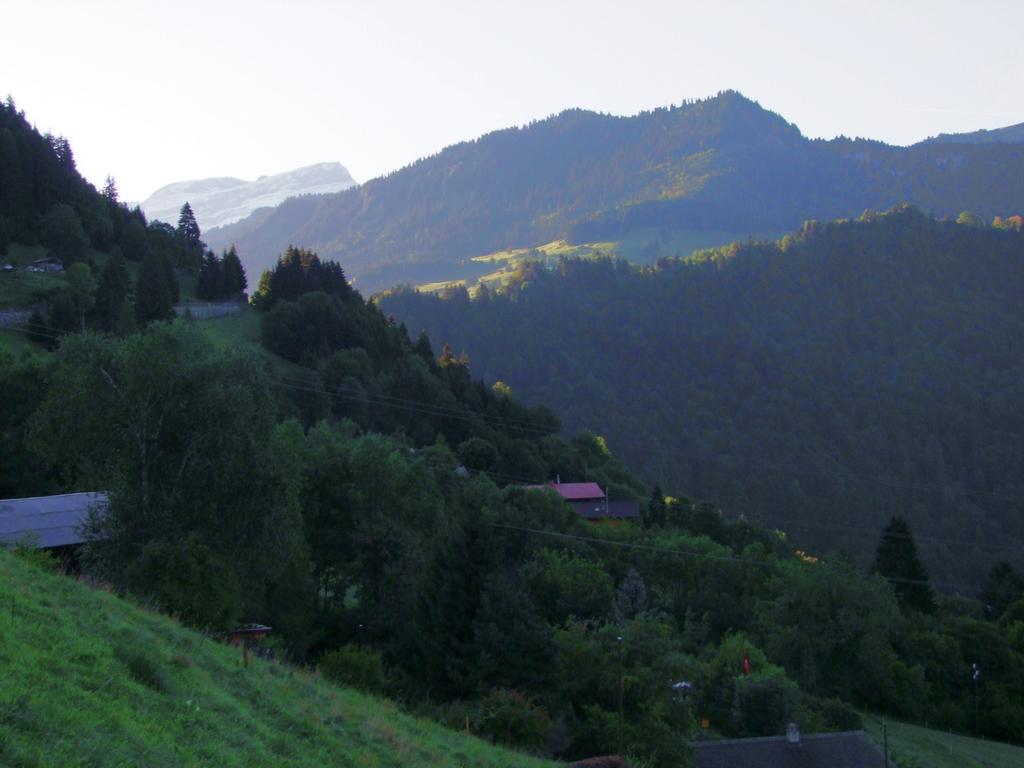 Pour l'image suivante