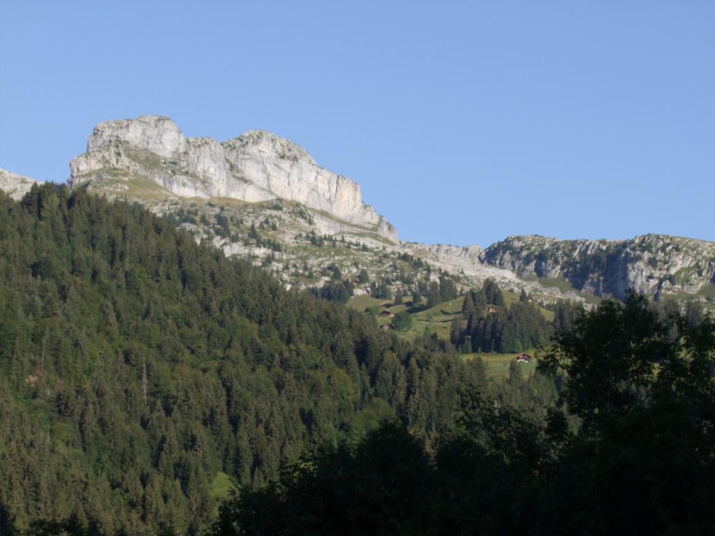 Pour l'image suivante