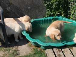 Pour agrandir l'image (1024x768 pixels; 162 KB)