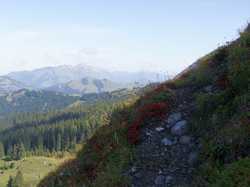 Pour agrandir l'image (1024x768 pixels; 107 KB)