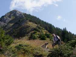 Pour agrandir l'image (1024x768 pixels; 159 KB)