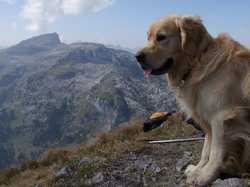 Pour agrandir l'image (1024x768 pixels; 113 KB)