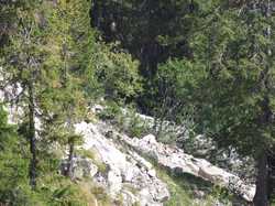 Pour agrandir l'image (1024x768 pixels; 255 KB)