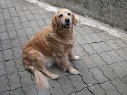 Pour agrandir l'image (1024x768 pixels; 171 KB)