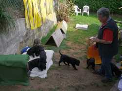 Pour agrandir l'image (1024x768 pixels; 133 KB)