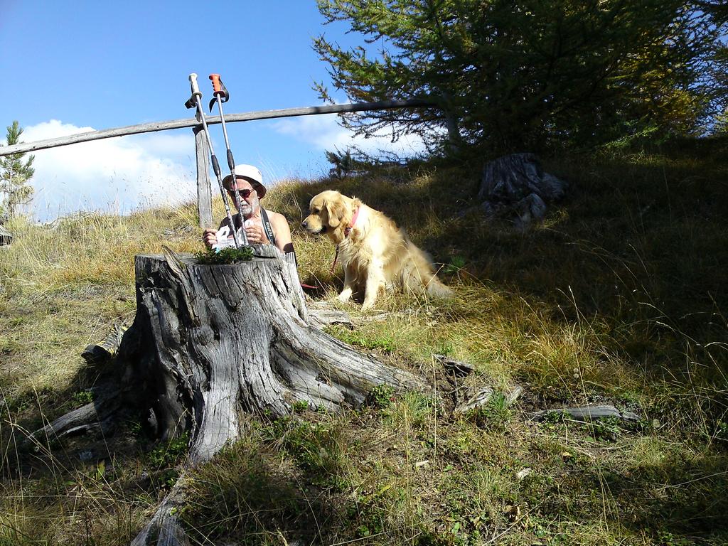 Pour l'image suivante