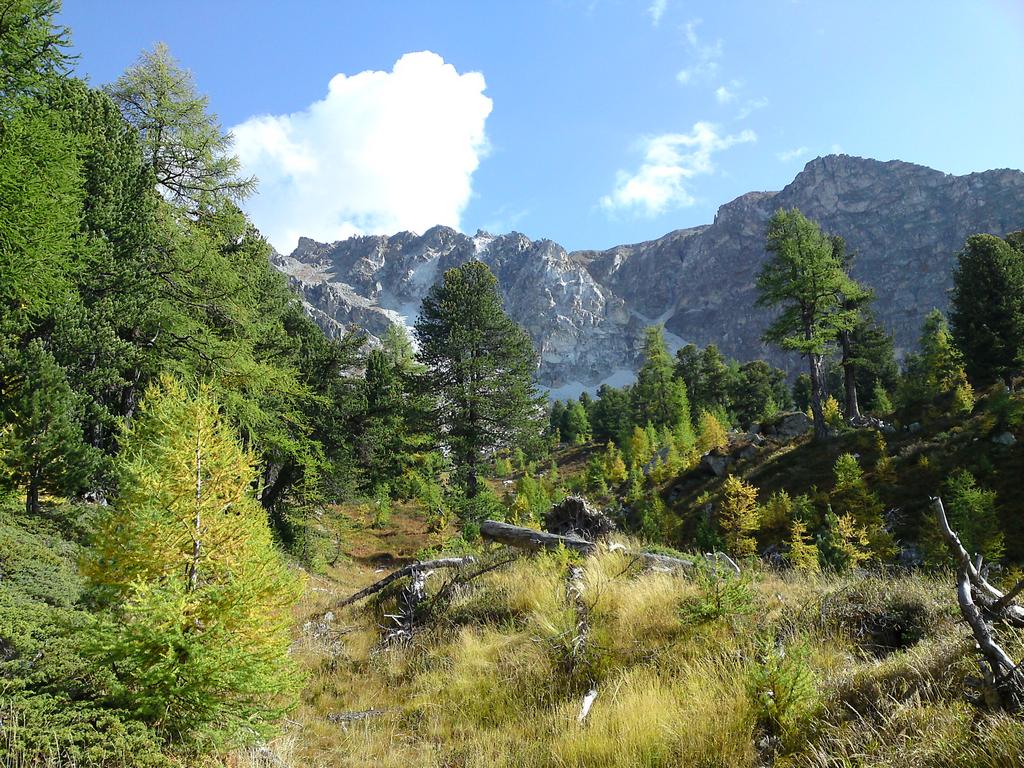 Pour l'image suivante