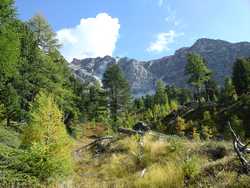 Pour agrandir l'image (1024x768 pixels; 220 KB)