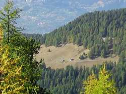 Pour agrandir l'image (1024x768 pixels; 136 KB)