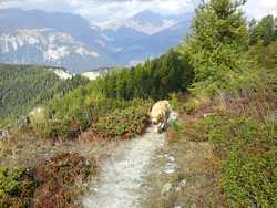 Pour agrandir l'image (1024x768 pixels; 252 KB)