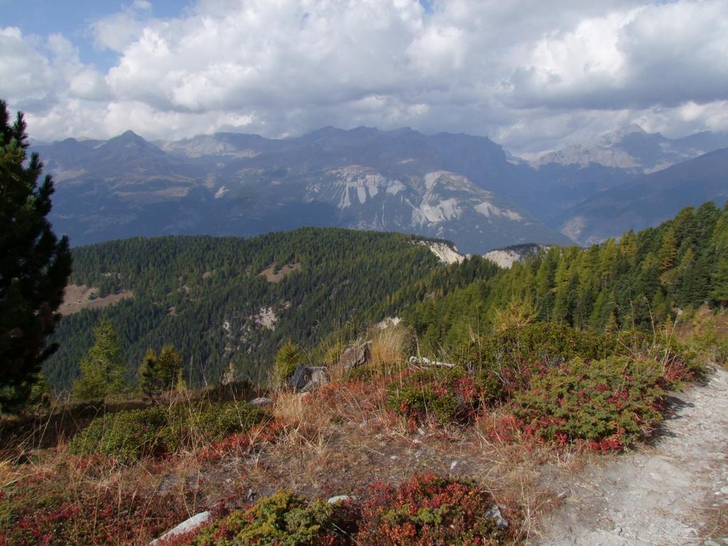 Pour l'image suivante