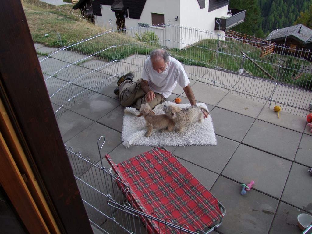 Pour l'image suivante