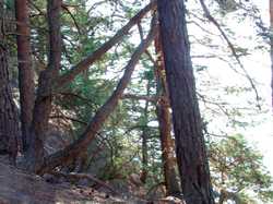 Pour agrandir l'image (1024x768 pixels; 173 KB)