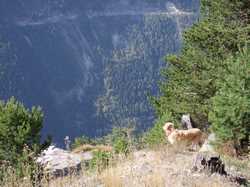 Pour agrandir l'image (1024x768 pixels; 194 KB)