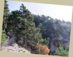 Pour agrandir l'image (978x768 pixels; 133 KB)