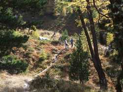 Pour agrandir l'image (1024x768 pixels; 222 KB)