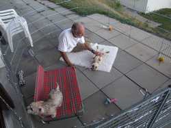 Pour agrandir l'image (1024x768 pixels; 154 KB)