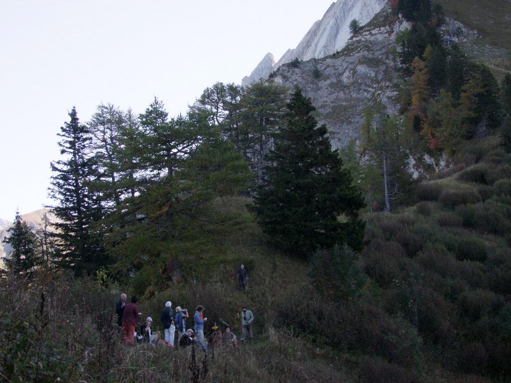 Pour l'image suivante