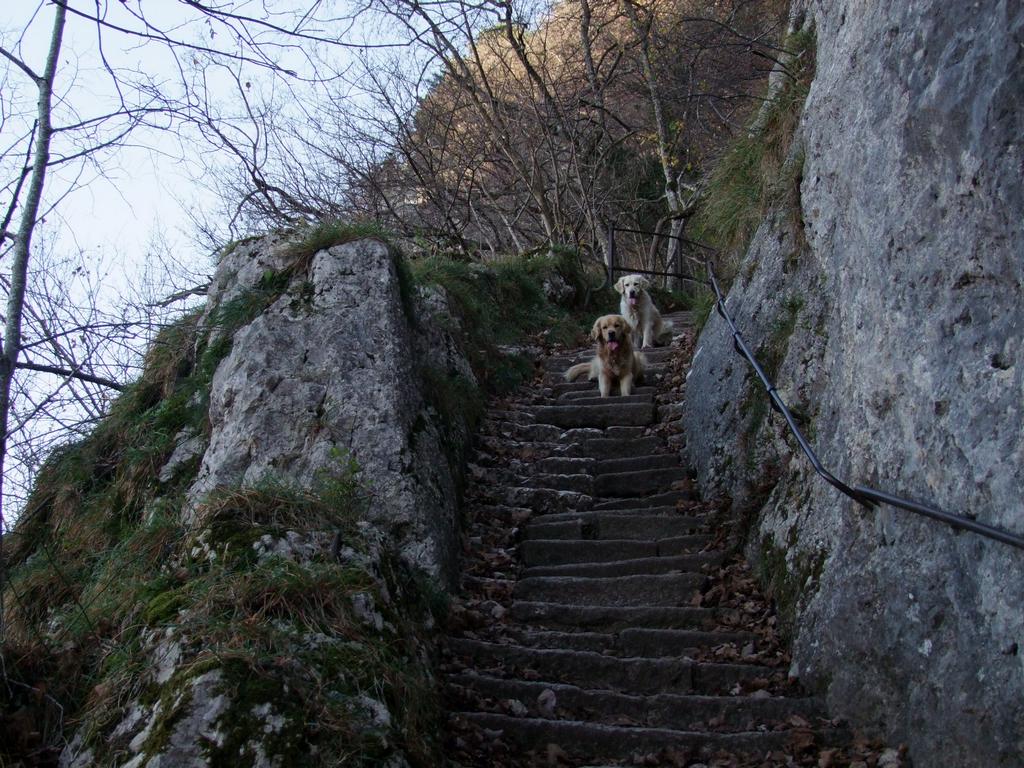 Pour l'image suivante