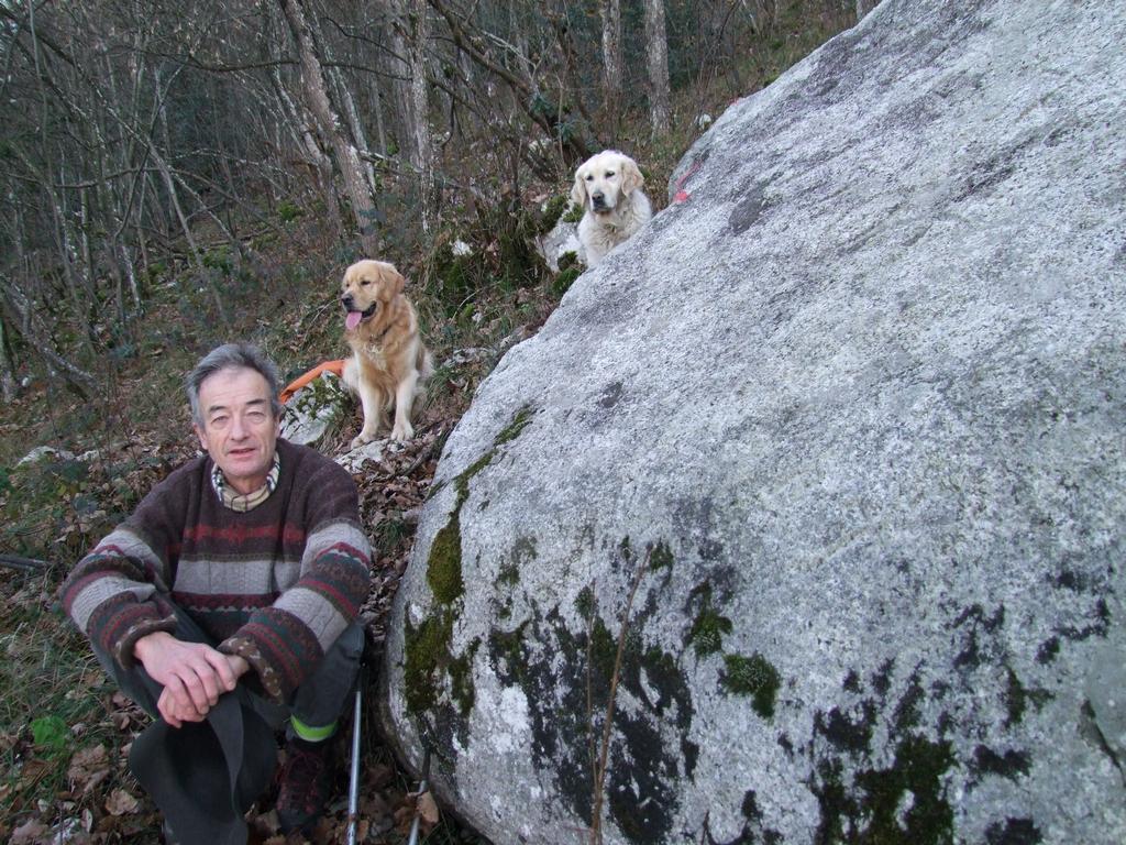 Pour l'image suivante