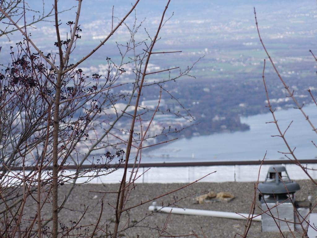 Pour l'image suivante