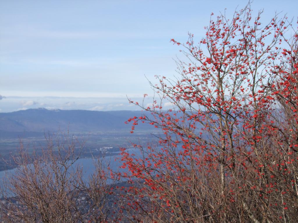 Pour l'image suivante