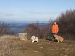 Pour agrandir l'image (1024x768 pixels; 131 KB)